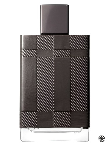 Burberry London for Men Special Edition 2009 Burberry