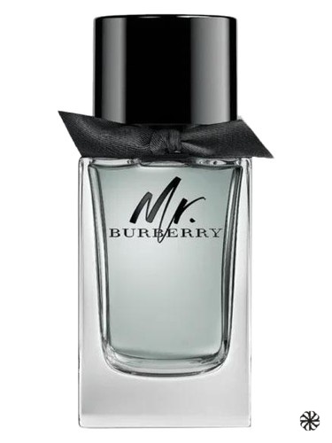Mr. Burberry Burberry