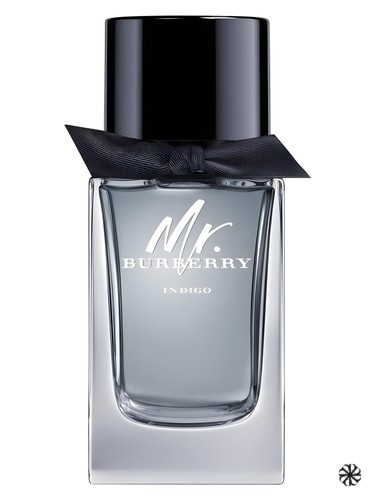 Mr. Burberry Indigo Burberry