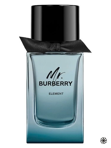 Mr. Burberry Element Burberry