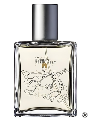 Winter Woods Burren Perfumery