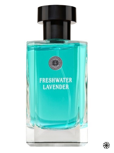 Freshwater Lavender C.O.Bigelow