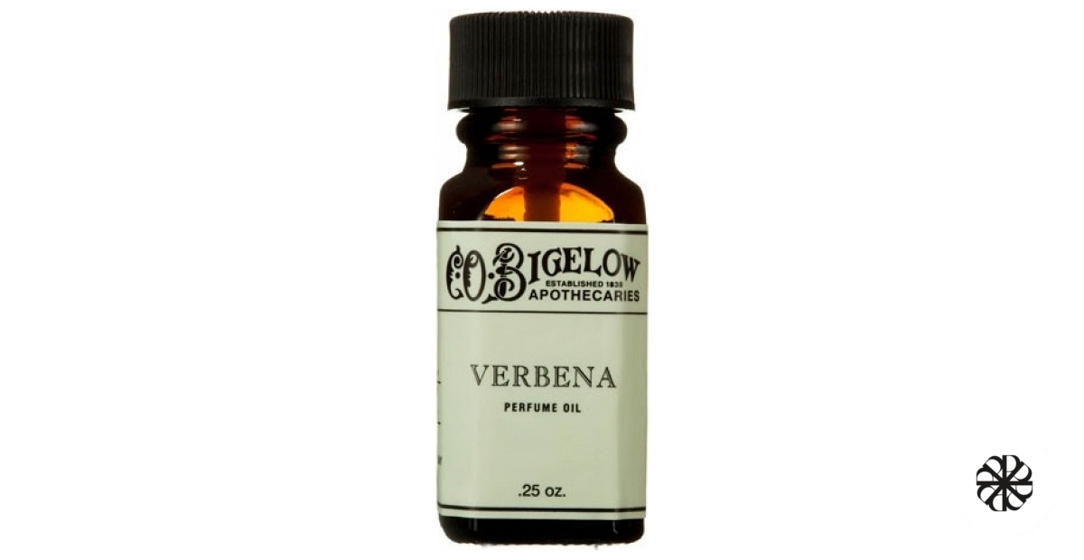 Verbena C.O.Bigelow