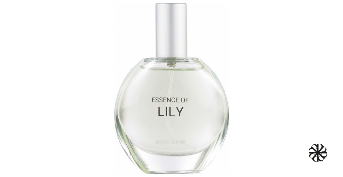 Essence of Lily C&A