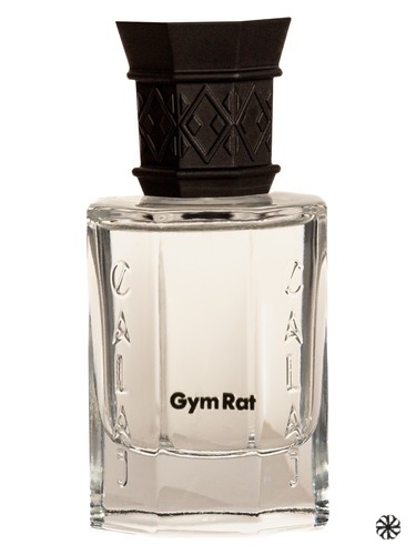 Gym Rat Calaj