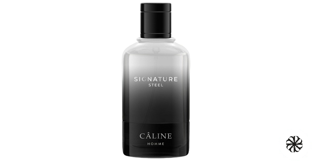 Signature Steel Câline