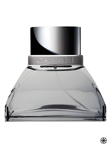 Winter Tale Special Edition Canali