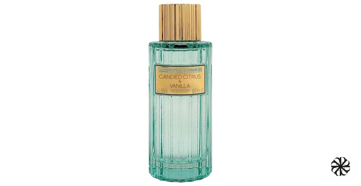 Candied Citrus & Vanilla Captivating Essences