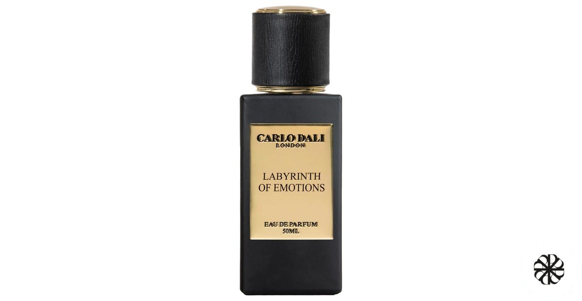 Labyrinth of Emotions Carlo Dali