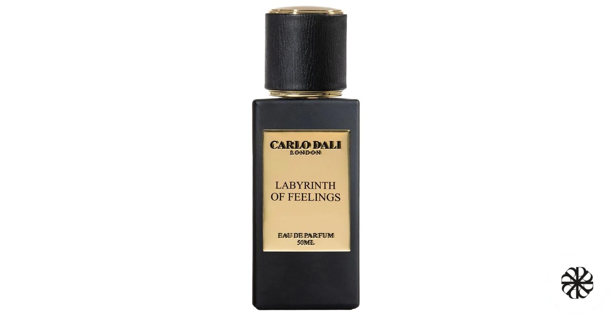 Labyrinth of feelings Carlo Dali