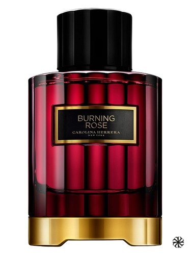 Burning Rose Carolina Herrera