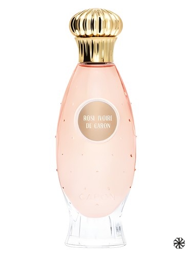 Rose Ivoire Caron