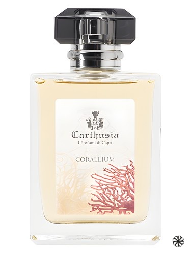 Corallium Carthusia