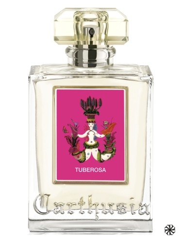 Tuberosa Carthusia