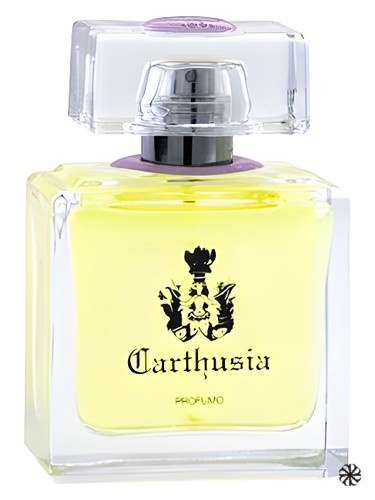 Gelsomini di Capri Carthusia