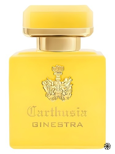 Intenso di Ginestra Carthusia
