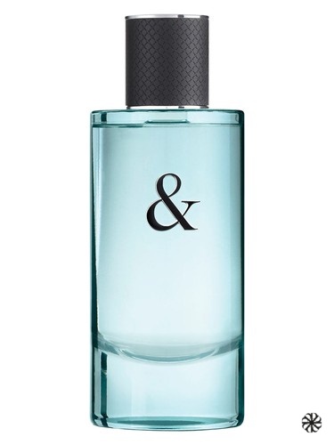 Tiffany & Love For Him Tiffany