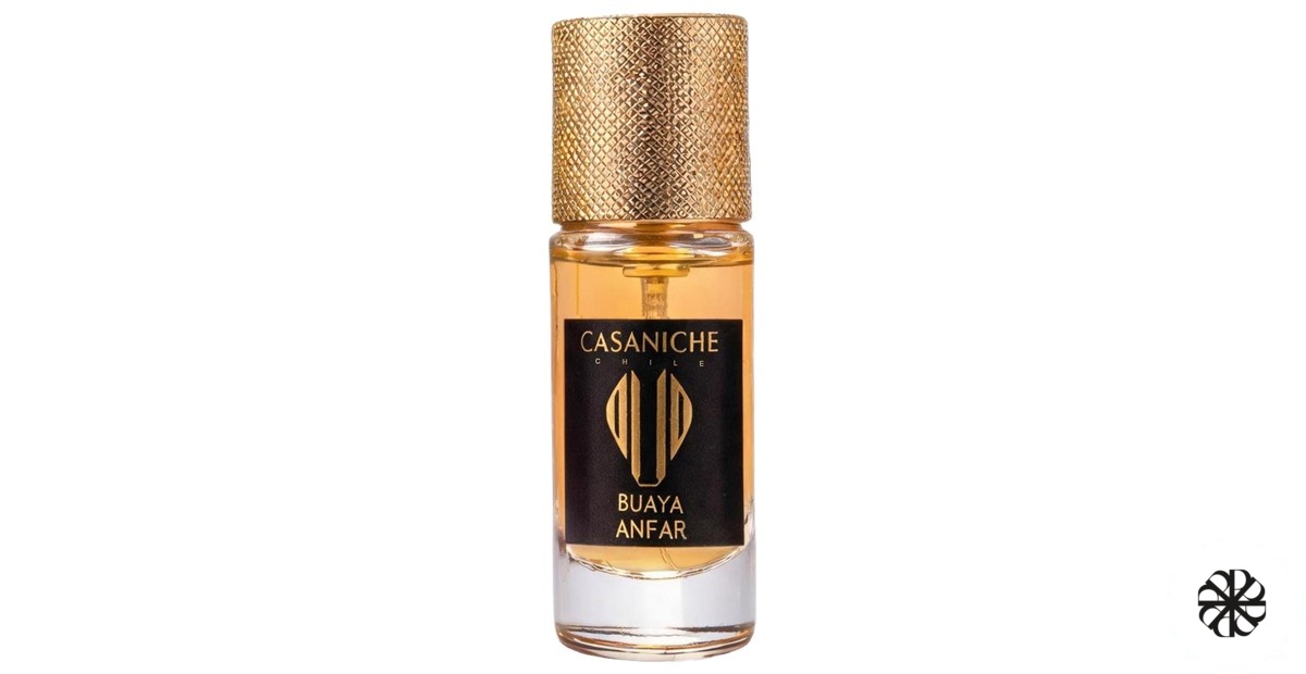 Buaya Anfar Casaniche