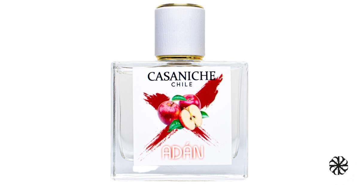 Adán Casaniche
