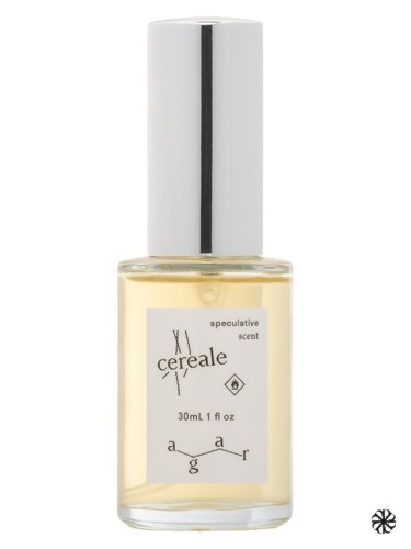 Cereale Agar Olfactory