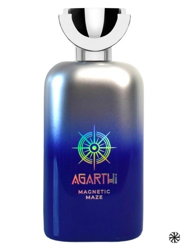 Magnetic Maze Agarthi