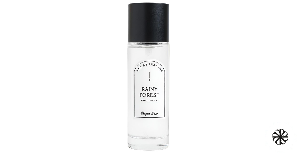 Rainy Forest Chaque Jour