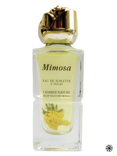 Mimosa Charrier Parfums