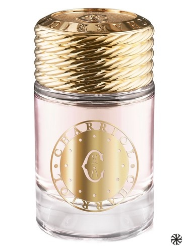 Infinite Celtic For Women Charriol