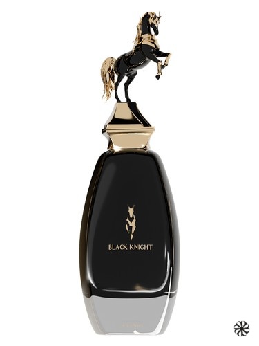 Black Knight Chase