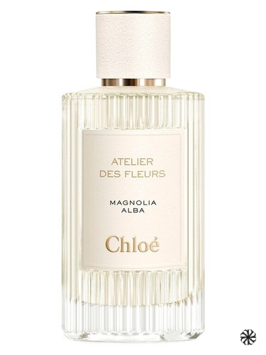 Magnolia Alba Chloé
