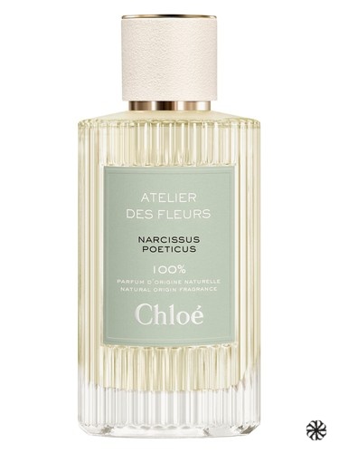 Narcissus Poeticus Chloé