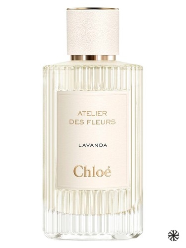 Lavanda Chloé