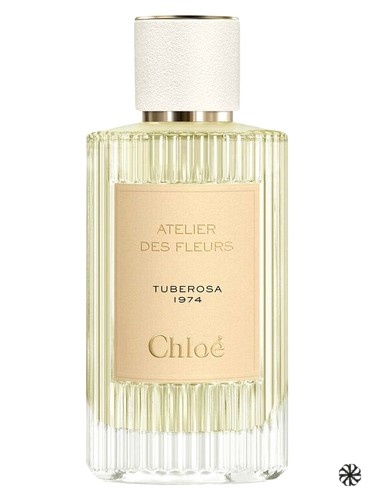 Tuberosa 1974 Chloé