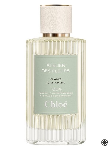 Ylang Cananga Chloé