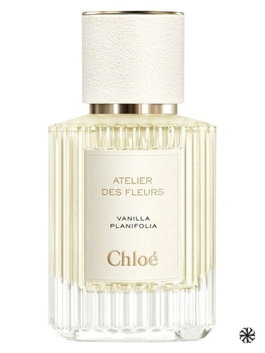 Vanilla Planifolia Chloé