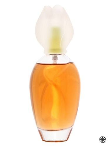 Fleur de Narcisse Chloé