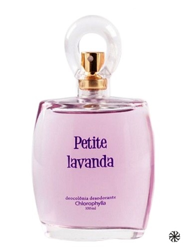 Petite Lavanda Chlorophylla
