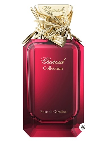 Rose de Caroline Chopard