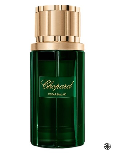Cedar Malaki Chopard