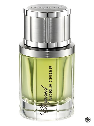 Noble Cedar Chopard