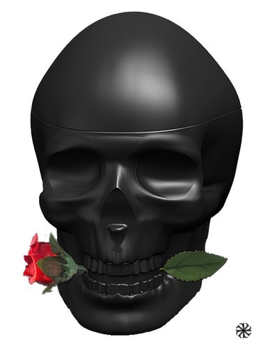 Ed Hardy Skulls & Roses for Him Christian Audigier
