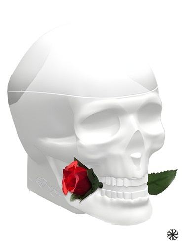 Ed Hardy Skulls & Roses for Her Christian Audigier