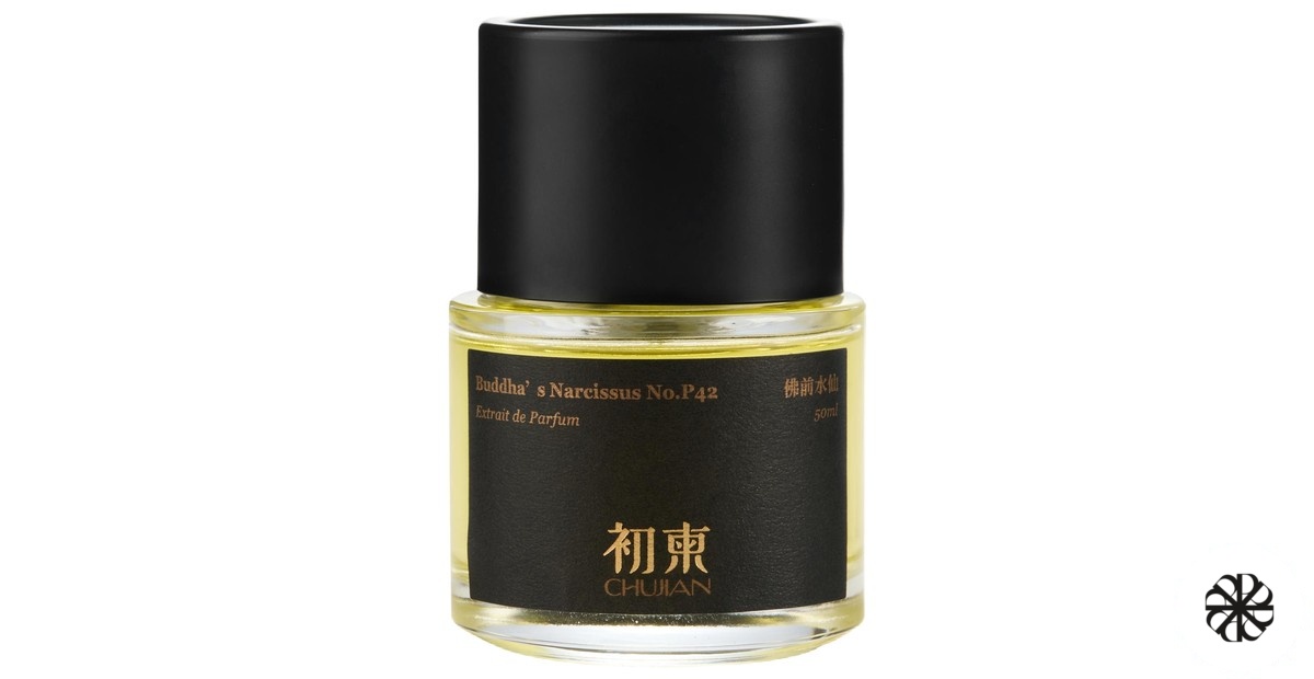 Buddha‘s Narcissus No.P42 佛前水仙 ChuJian 初柬