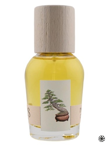 The Idea of You Cirrus Parfum