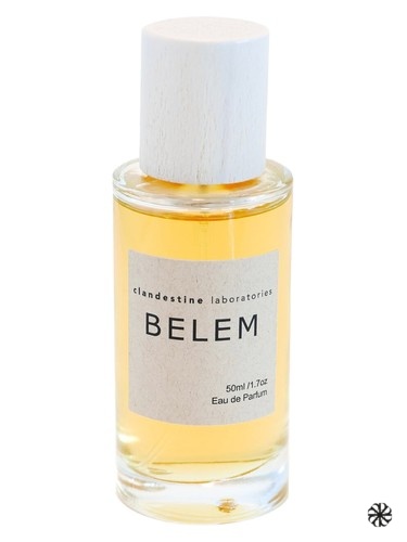 Belem Clandestine Laboratories
