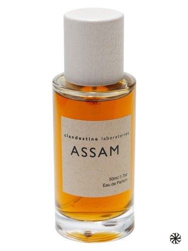 Assam Clandestine Laboratories