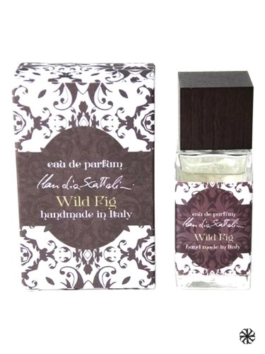 Wild Fig Claudia Scattolini
