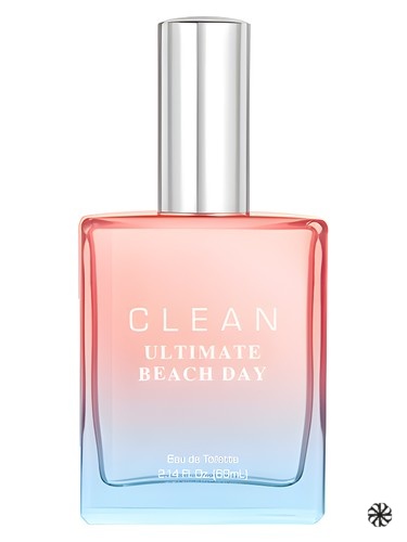 Ultimate Beach Day Clean