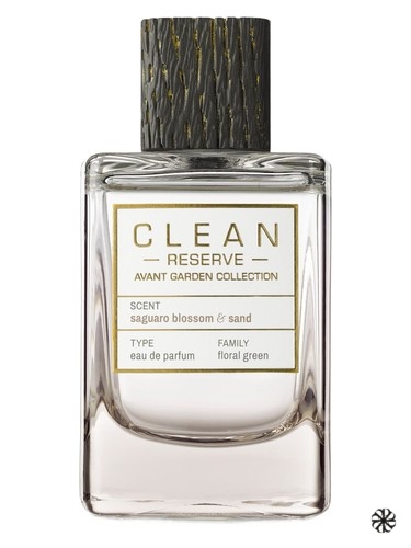 Saguaro Blossom & Sand Clean