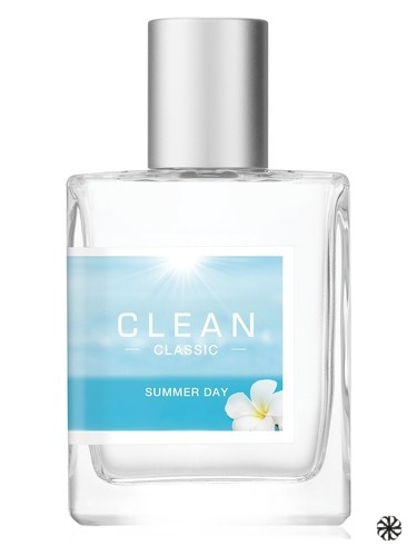 Clean Classic Summer Day Clean